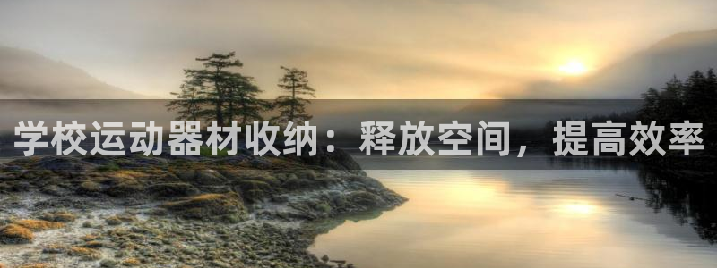 意昂3代理:学校运动器材收纳:释放空间,提高效率