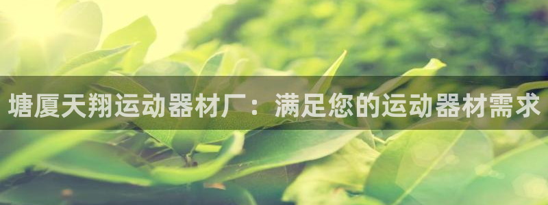 意昂体育3平台是正规平台吗知乎:塘厦天翔运动器材厂:满足您的