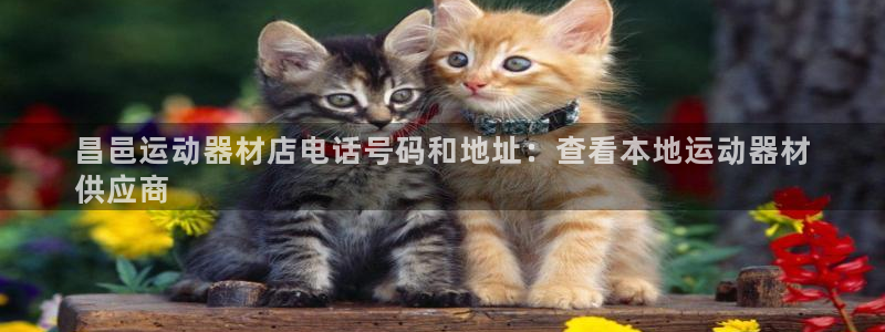 意昂体育3招商电话号码是多少号:昌邑运动器材店电话号码和地址